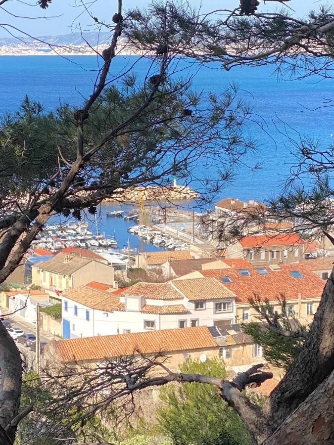 Authentique T3 Calme Entre Et Calanques Marseille
